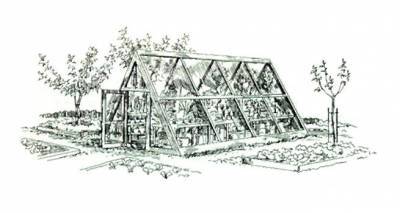 текст при наведении