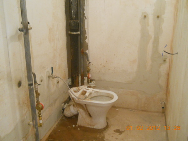 текст при наведении