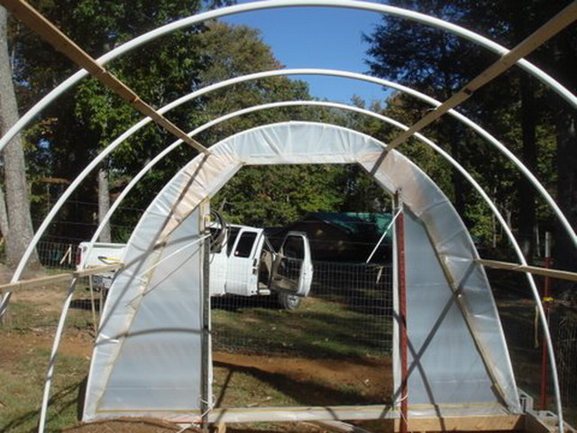 текст при наведении