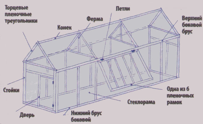 текст при наведении