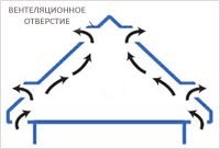 текст при наведении