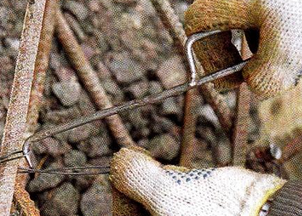 текст при наведении