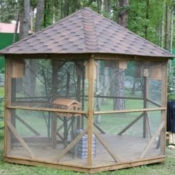 текст при наведении