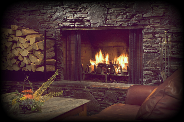 Какие дрова лучше использовать для камина?