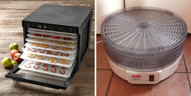 Как выбрать сушилку для овощей и фруктов?