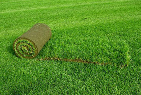 текст при наведении