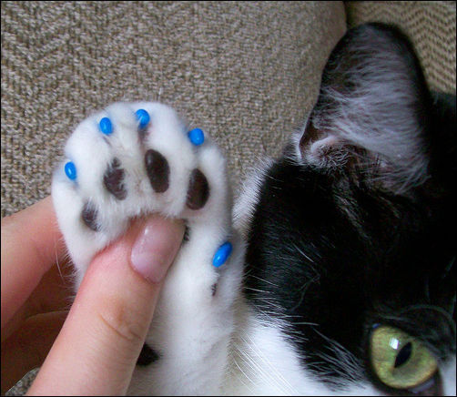 текст при наведении