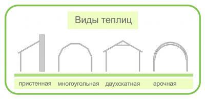 текст при наведении