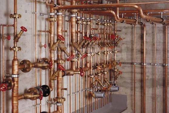 текст при наведении