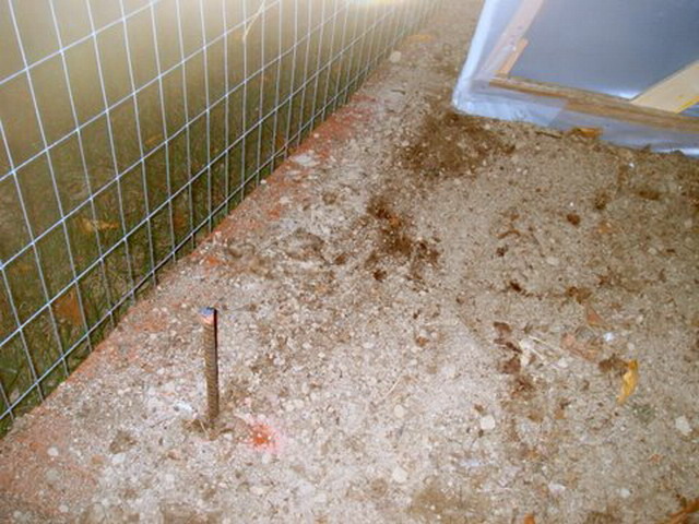 текст при наведении