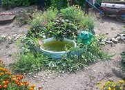 текст при наведении