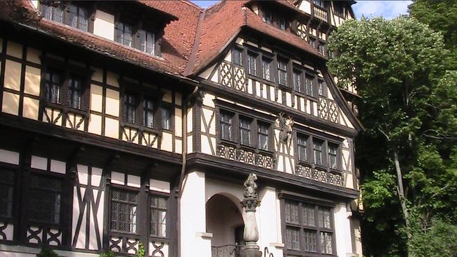 текст при наведении