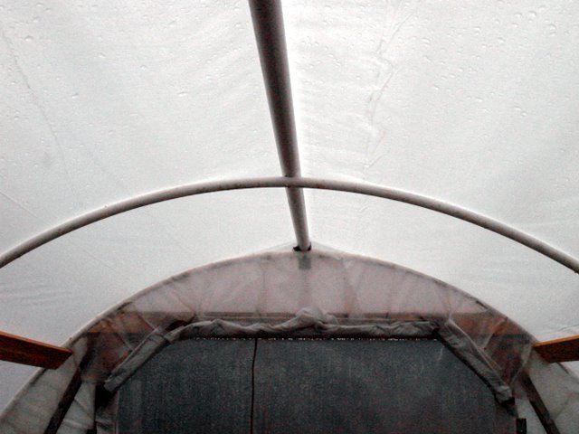 текст при наведении