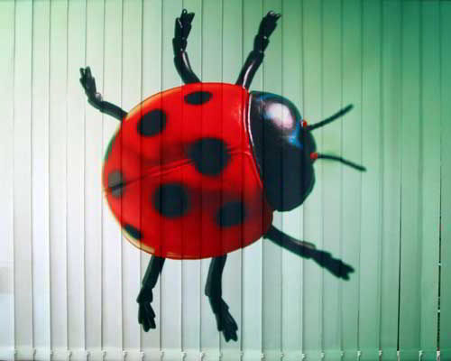 текст при наведении