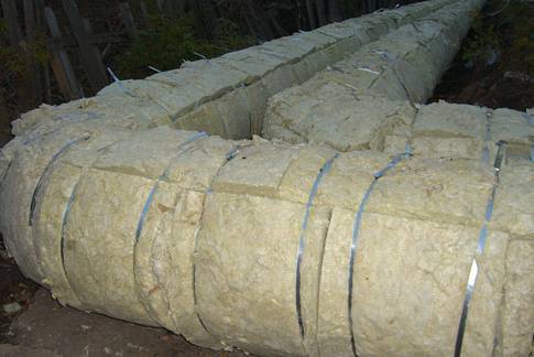 текст при наведении