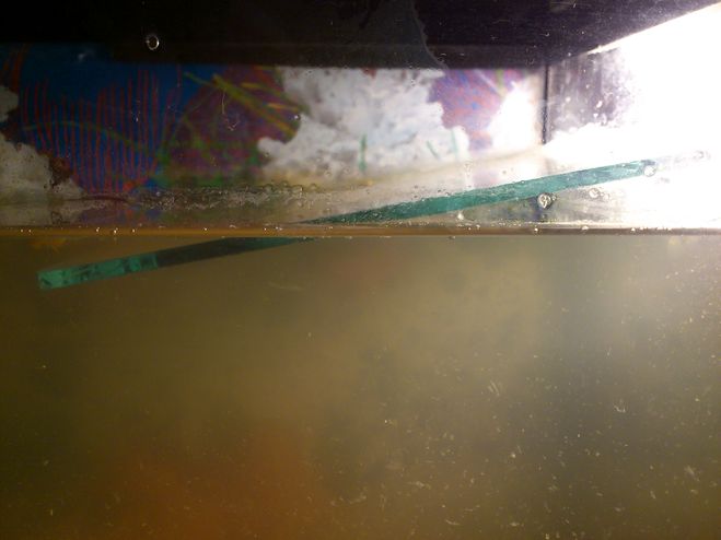 текст при наведении