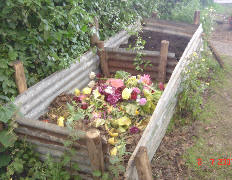 текст при наведении