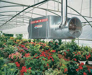 текст при наведении