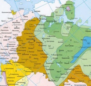 текст при наведении