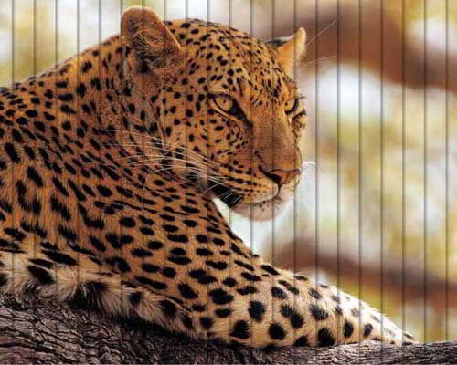 текст при наведении