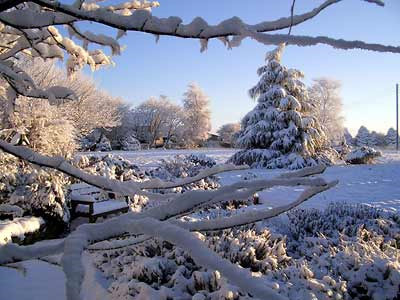 текст при наведении