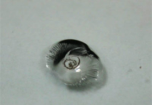 текст при наведении