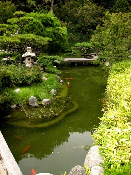 текст при наведении