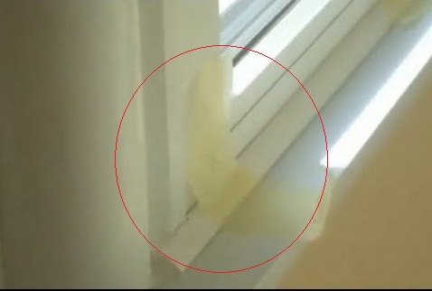 текст при наведении