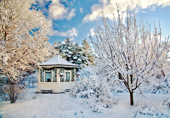 текст при наведении