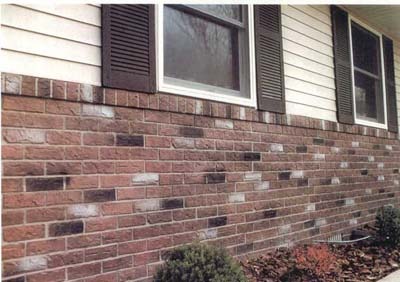 текст при наведении