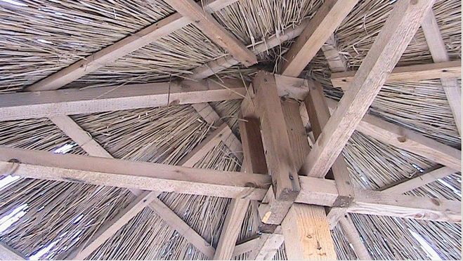 текст при наведении