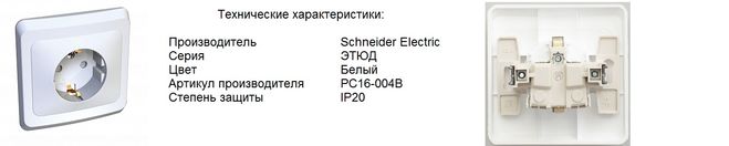 Розетка этюд 1.