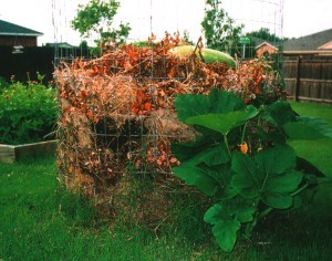 текст при наведении