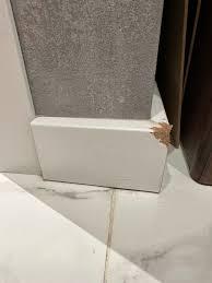 Собака погрызла