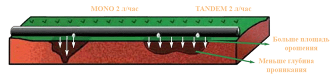 текст при наведении