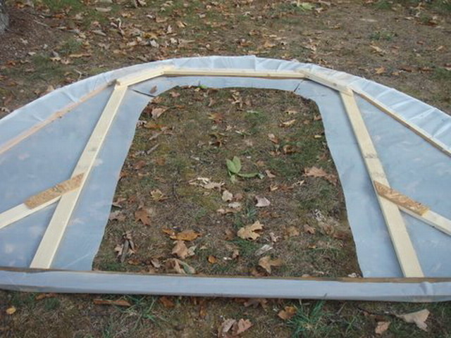 текст при наведении