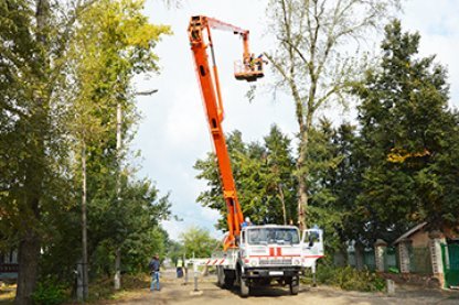 Как спилить дерево по частям. Какое необходимо снаряжение.