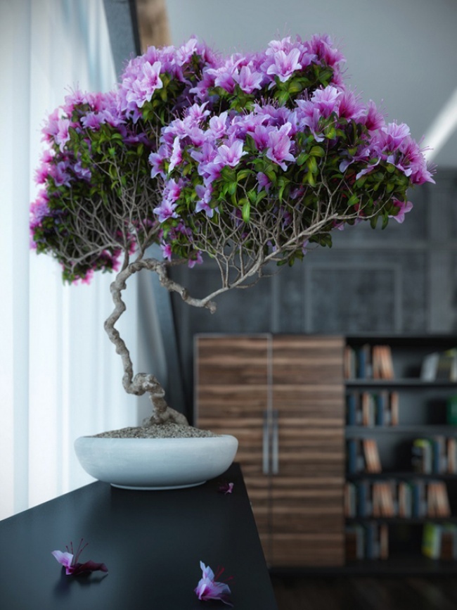 цветы в интерьере, имитация бонсаи